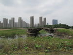 都市残桥