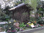 展览 小园圃