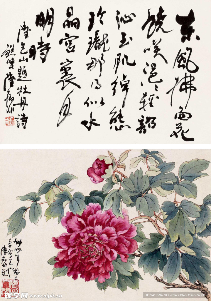 红牡丹