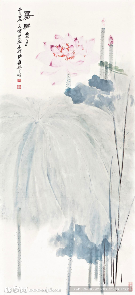 佳藕