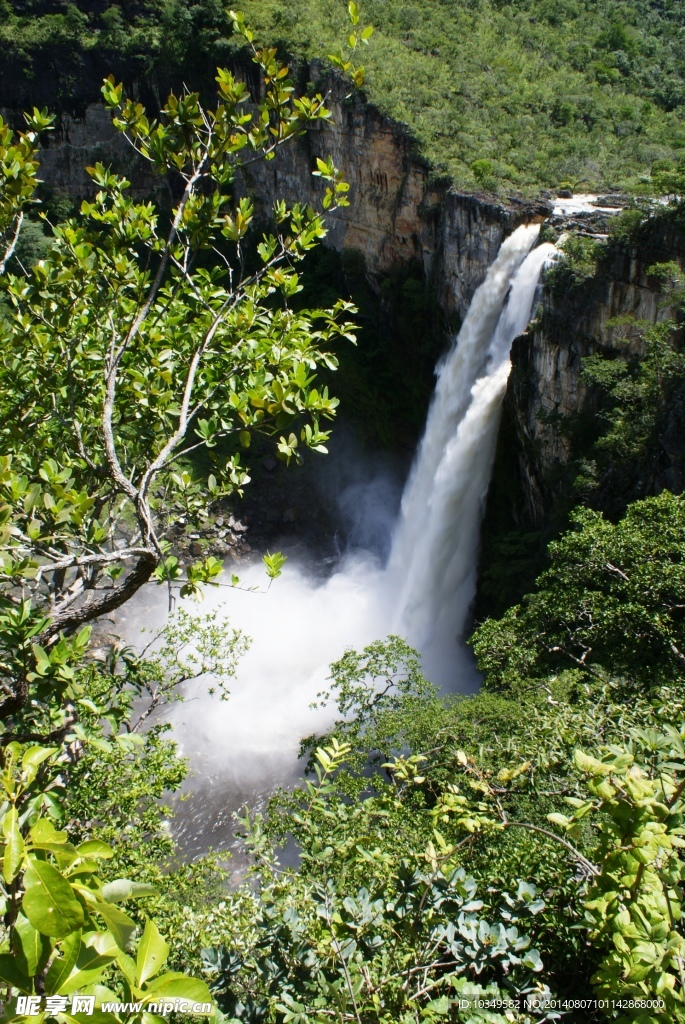 森林瀑布高原