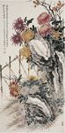 菊石图