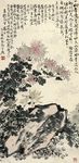 菊石图