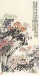 菊石图