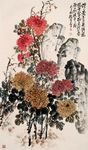 菊石图
