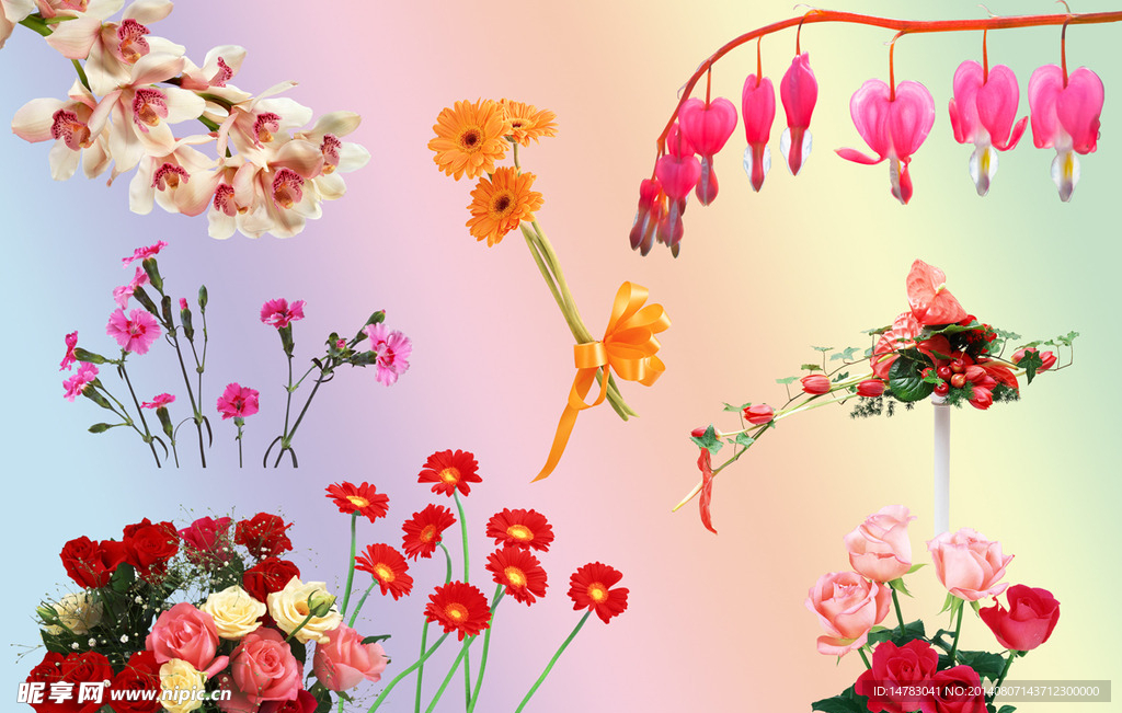 鲜花