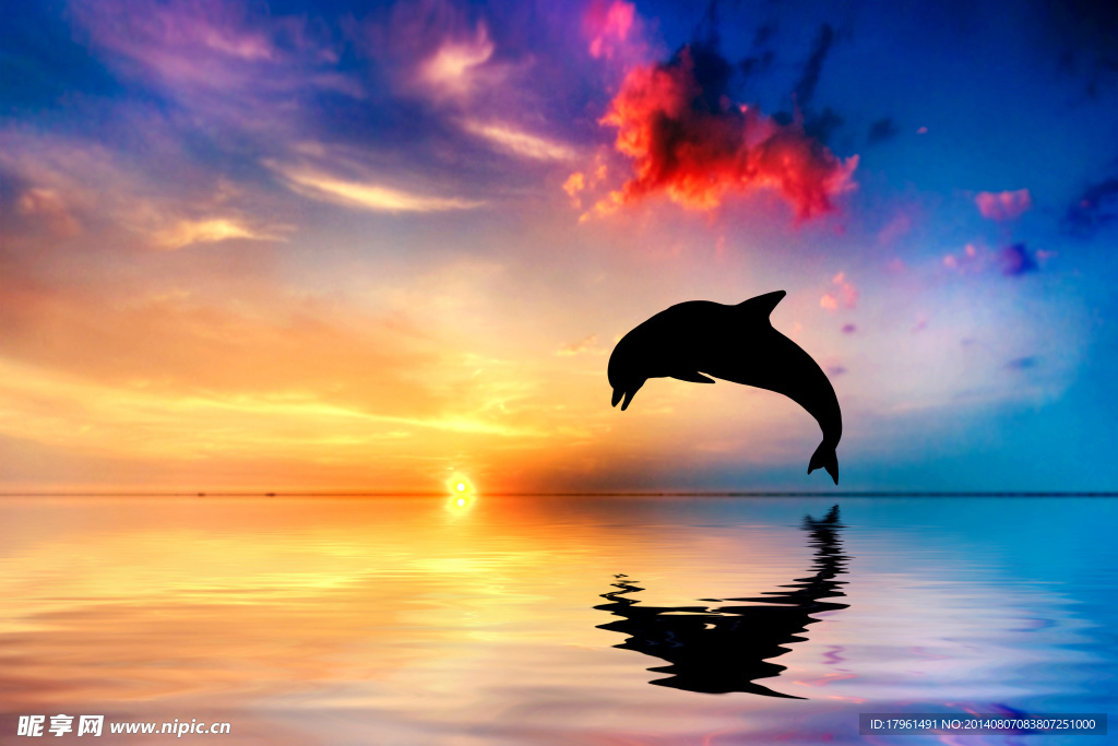 夕阳海豚