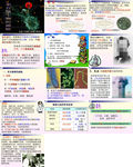 微生物
