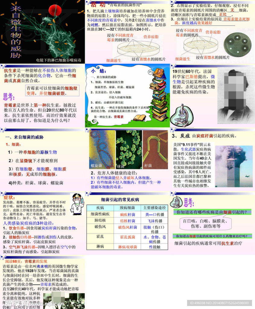 微生物