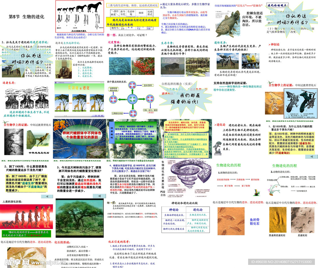 生物遗传
