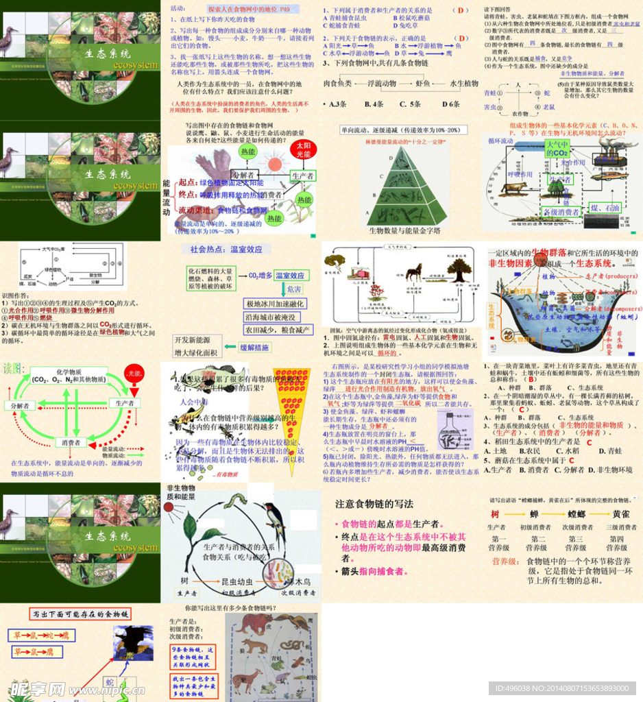 生态系统