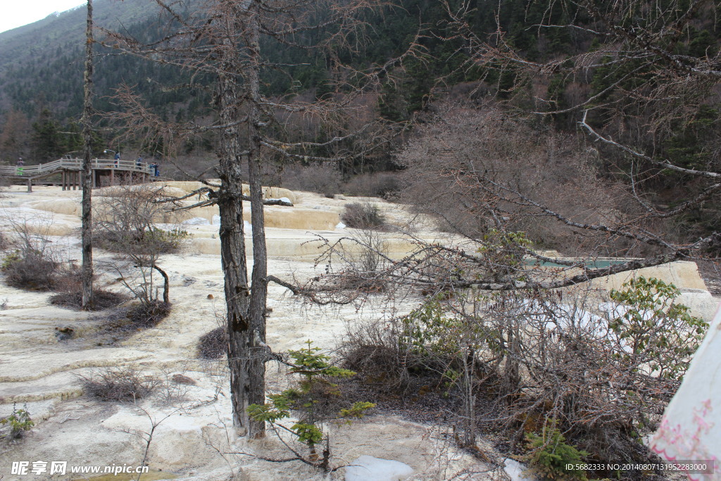 金沙铺地