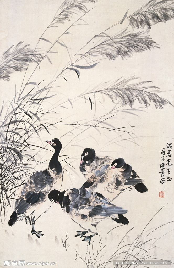 芦雁