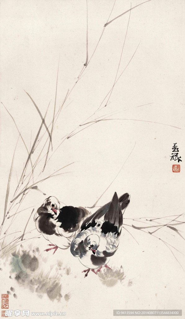 双鸽