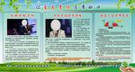 新华保险广告