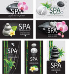 SPA   SPA 画册