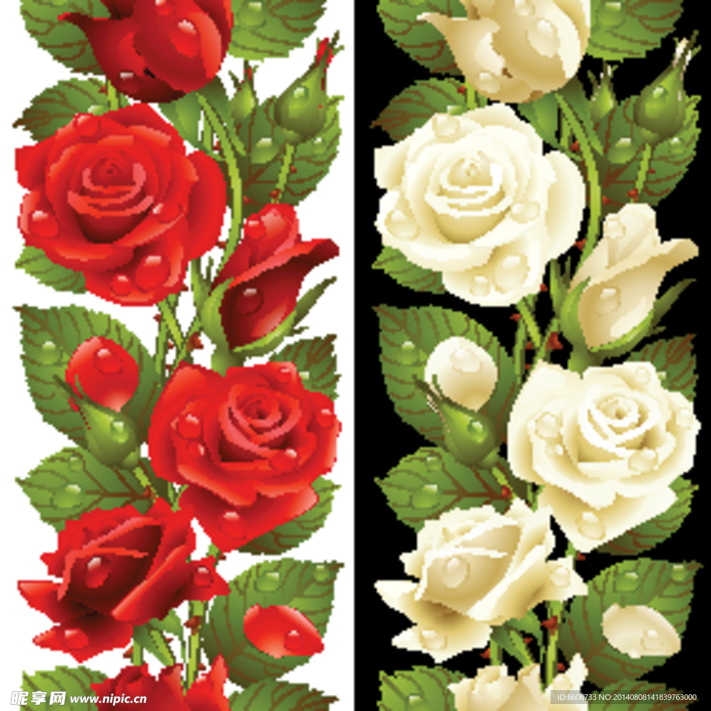 rose玫瑰花