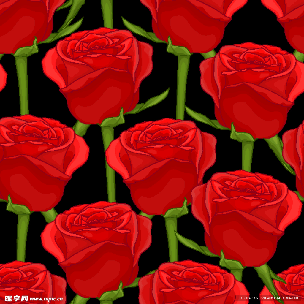 rose玫瑰花