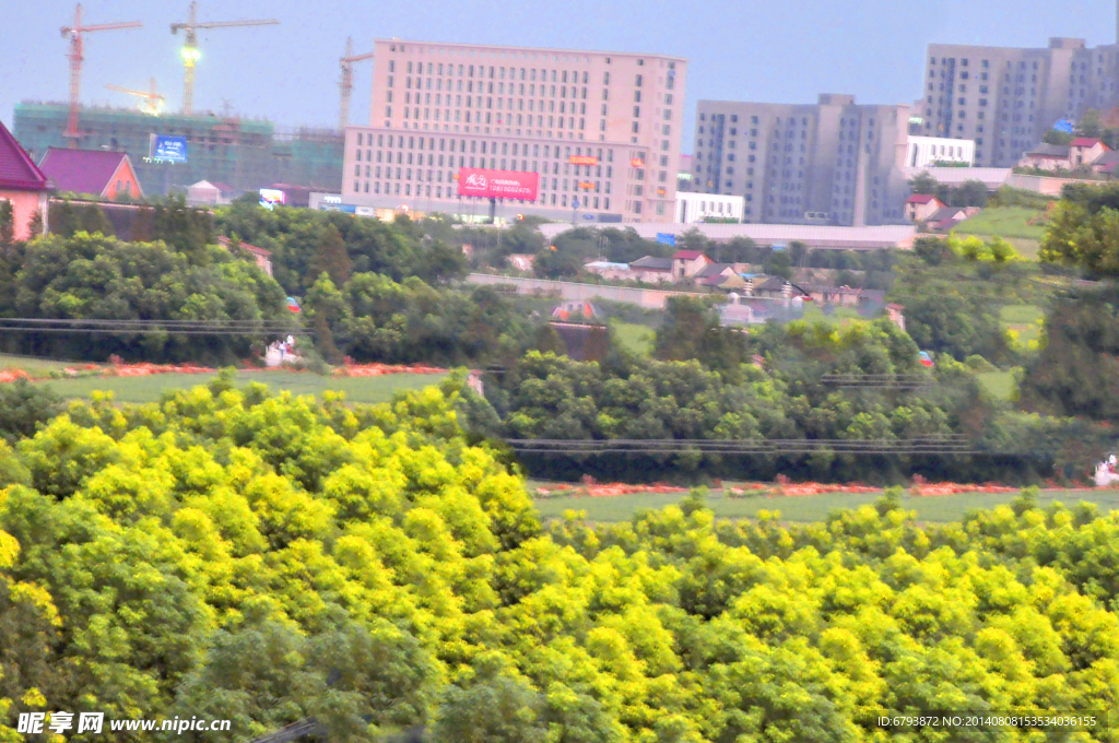 企业风景