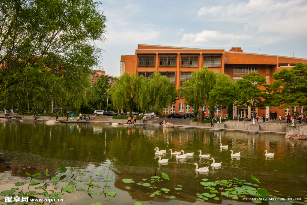 郑州大学