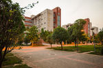 郑州大学