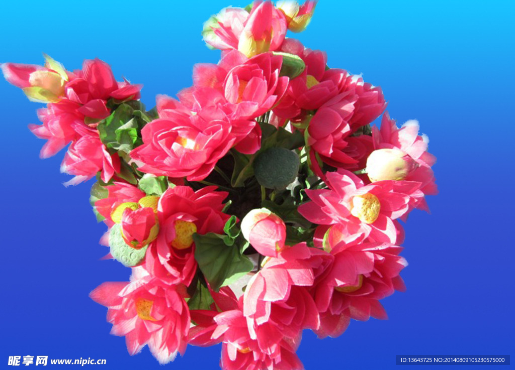 花
