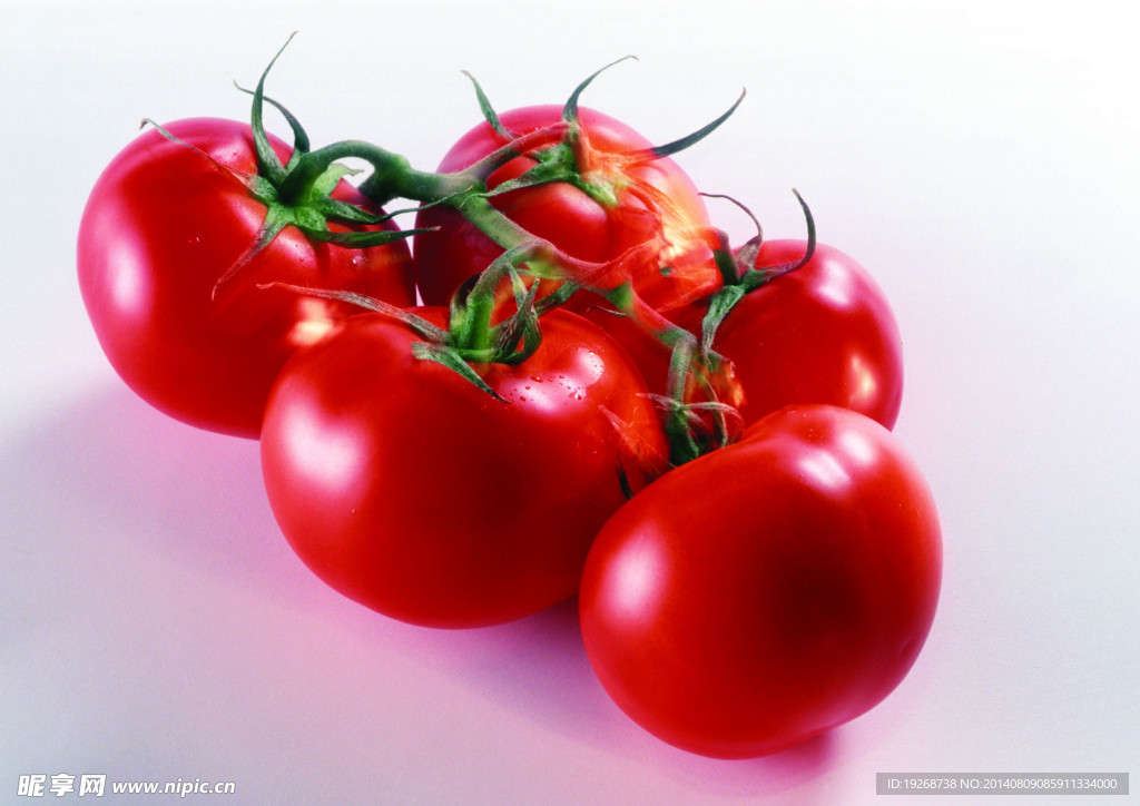 西红柿   番茄   蔬菜
