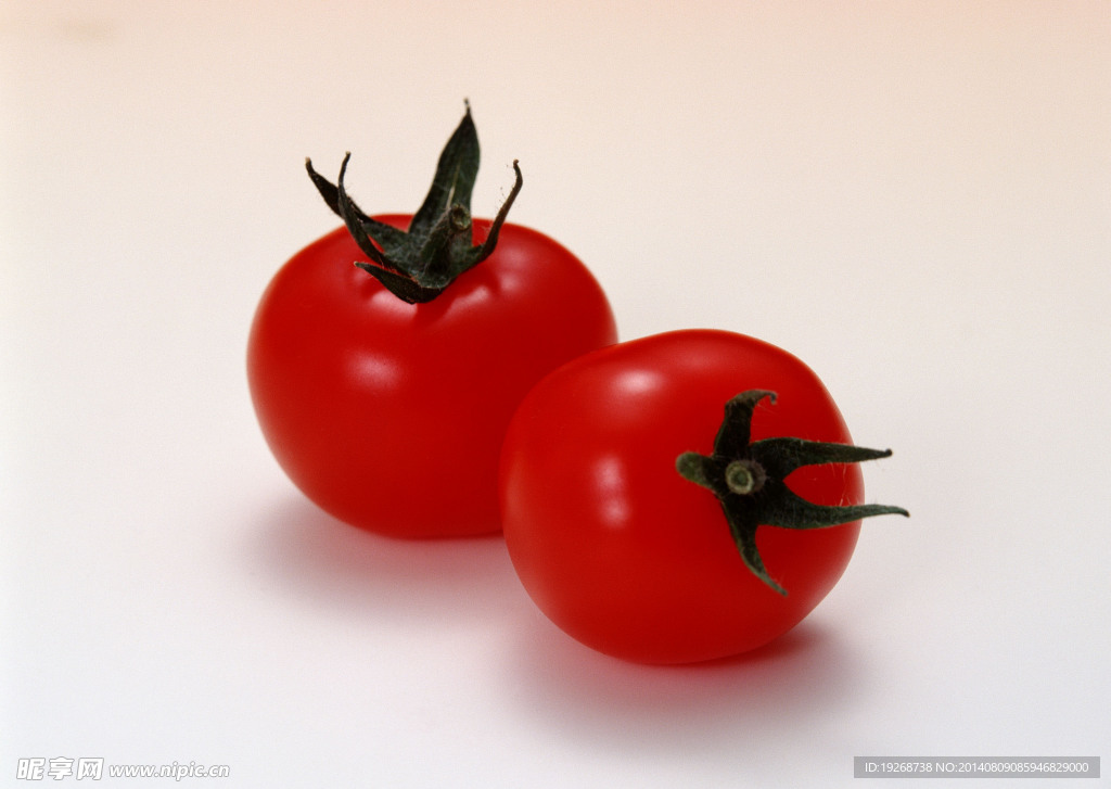 西红柿   番茄   蔬菜