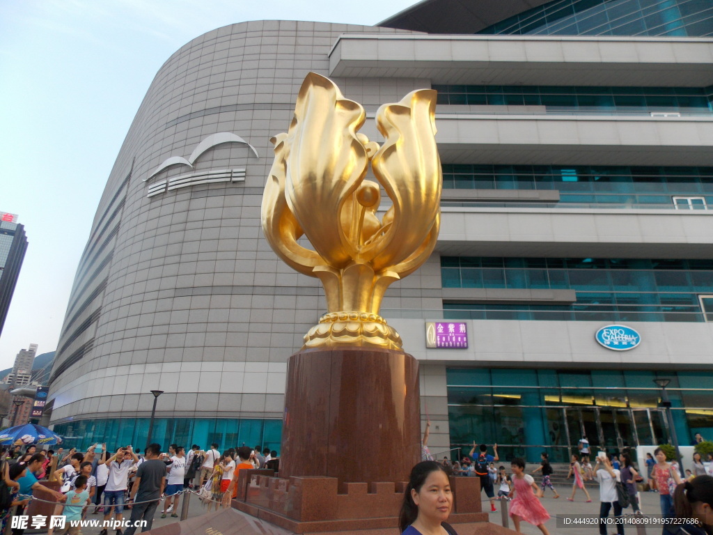 金紫荆