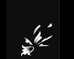 白色花朵视频