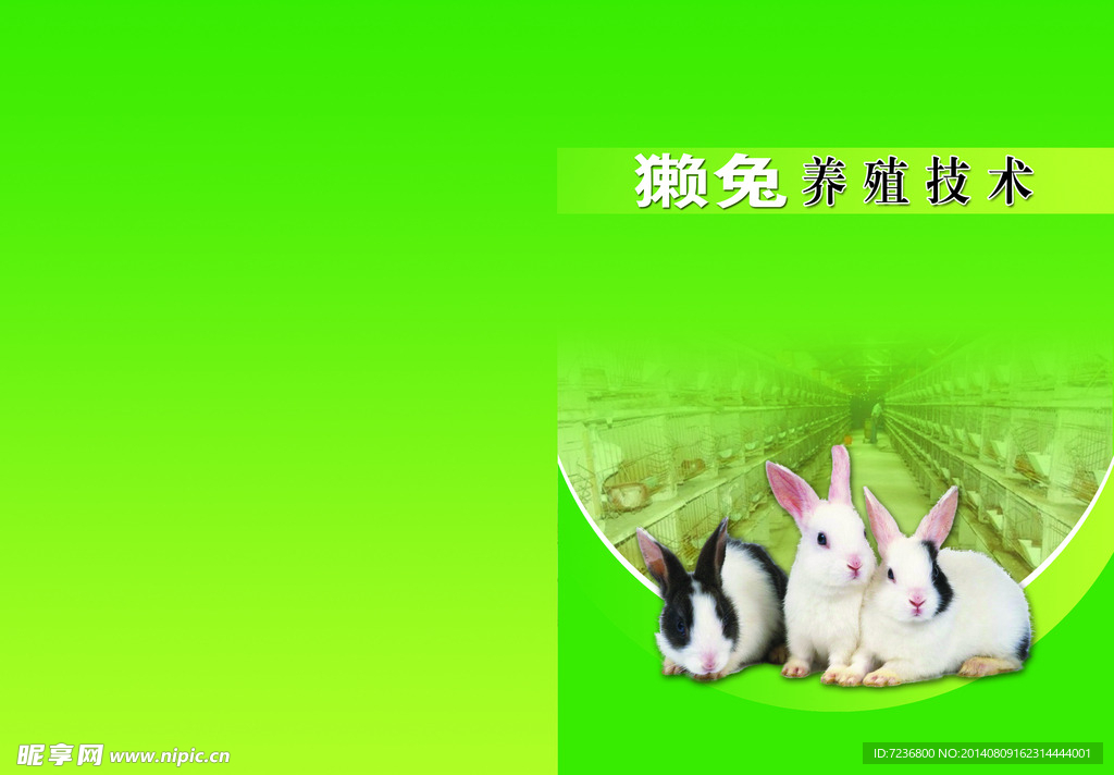 封面设计