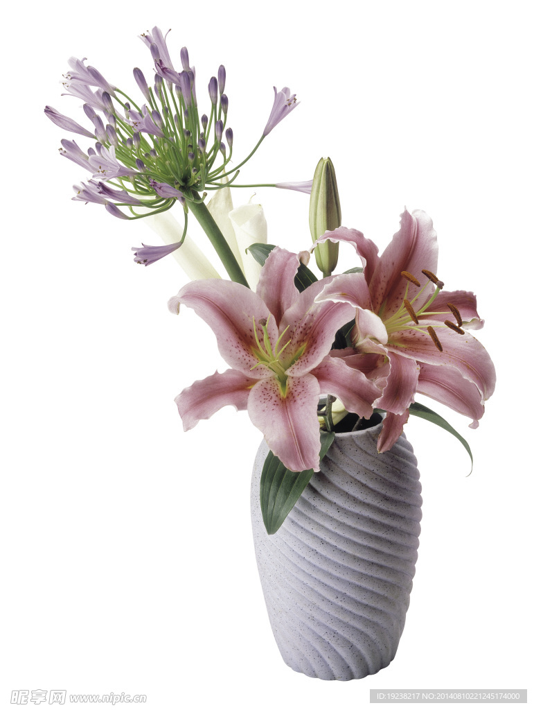 鲜花