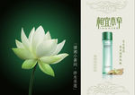 相宜本草