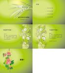 绿色模版