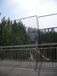 城市