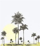 夏天旅游传单海报