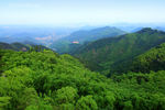 森林风景