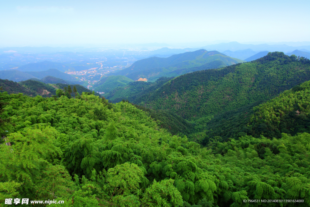 森林风景