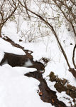 雪景