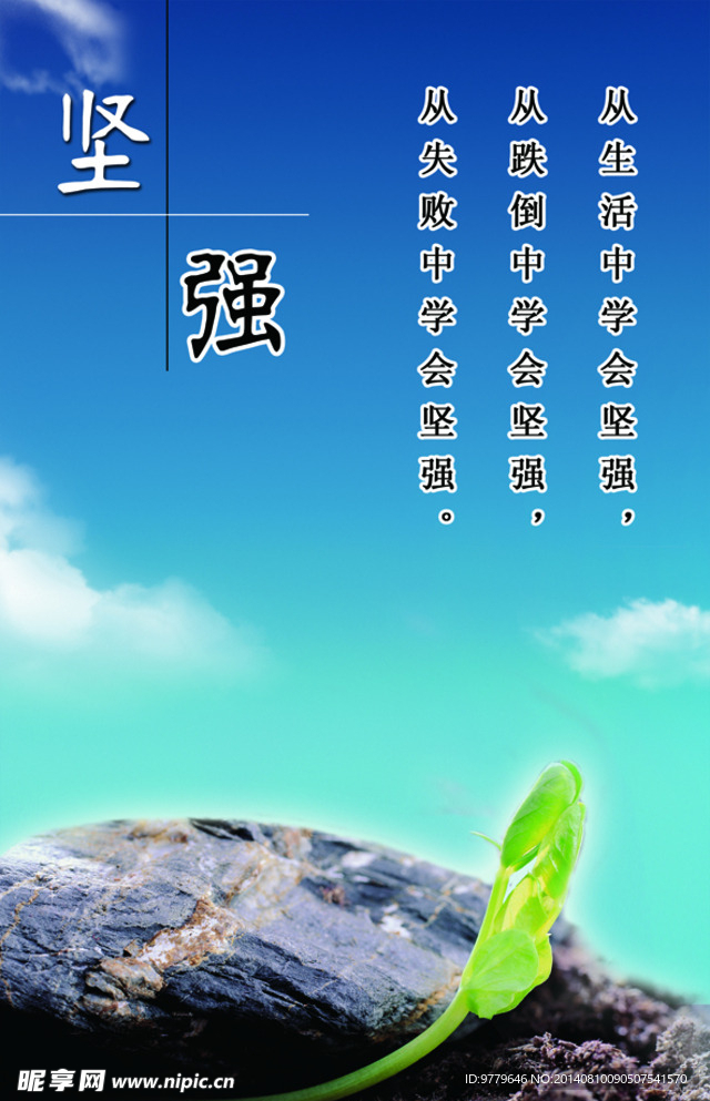 校园文化