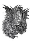 手绘插图