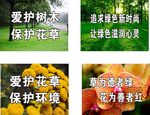 花草牌