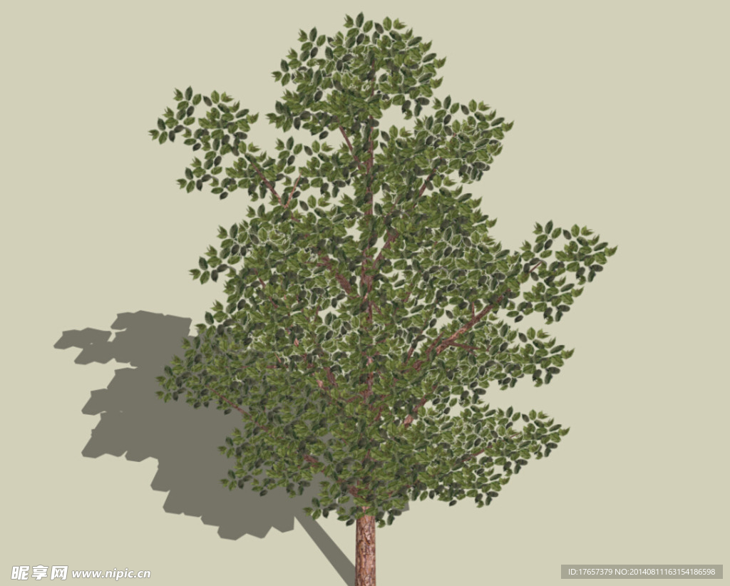 3D绿化树