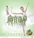 相宜本草 舞出我人生 美女舞蹈
