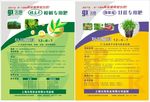 桉树甘蔗专用肥