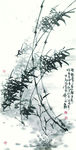 风竹