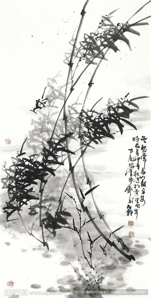 风竹