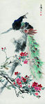孔雀杜鹃花