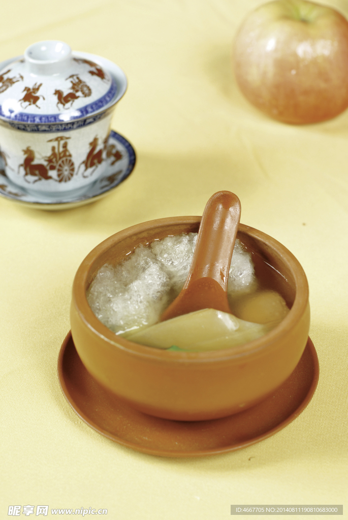 鱼翅翅宝