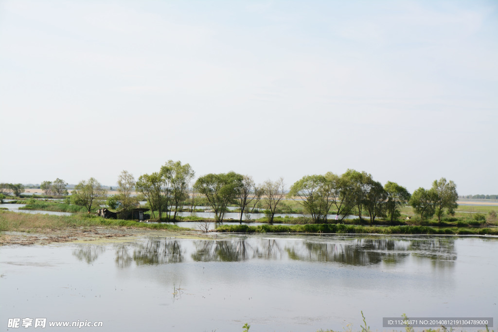 白鱼泡湿地